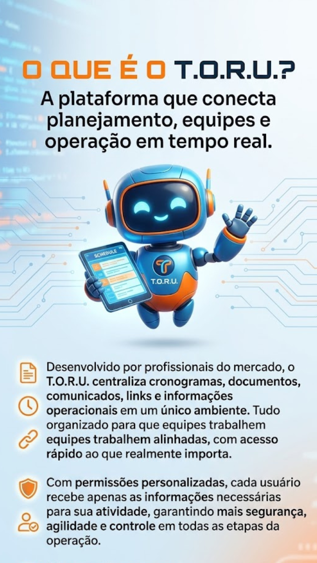 Publicidade T.O.R.U.